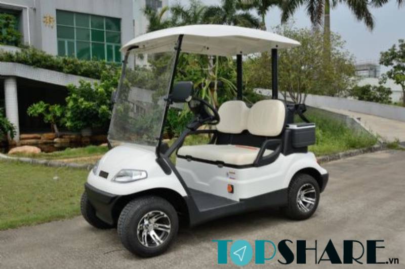 Xe điện sân golf 2 chỗ LVTONG LT-A627.2