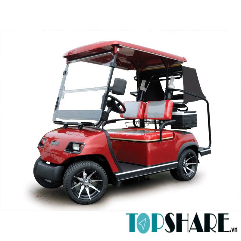 Xe điện sân golf 2 chỗ LVTONG LT-A2