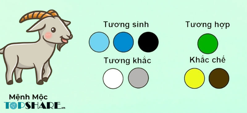 Tuổi Quý Mùi 2003 nên mua điện thoại màu gì? 9 Mệnh Mộc của người tuổi Mùi 2003 nên mua điện thoại màu gì?