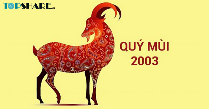 Tuổi Quý Mùi 2003 nên mua điện thoại màu gì? 10 Người tuổi Quý Mùi 2003 cần lưu ý gì khi chọn mua điện thoại?