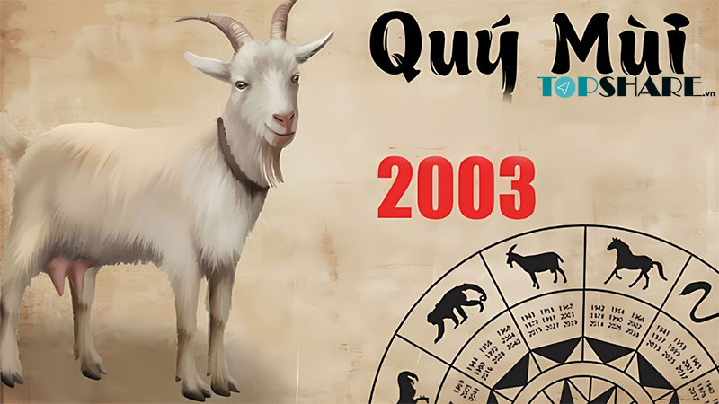 Tuổi Quý Mùi 2003 nên mua điện thoại màu gì? 8 Tuổi Quý Mùi 2003 mệnh gì?