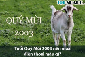 Tuổi Quý Mùi 2003 nên mua điện thoại màu gì?