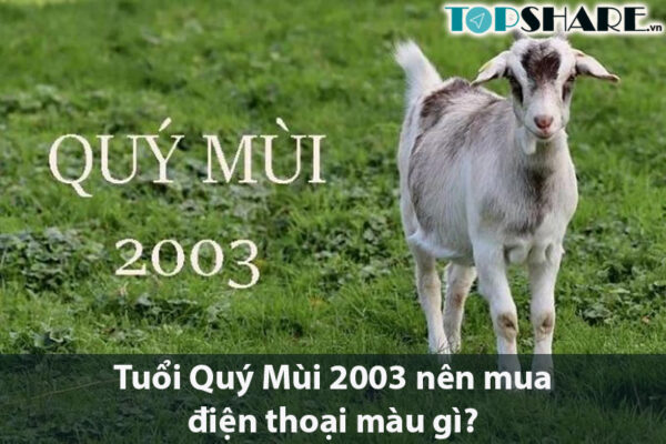 Tuổi Quý Mùi 2003 nên mua điện thoại màu gì? 11 Tuổi Quý Mùi 2003 nên mua điện thoại màu gì?