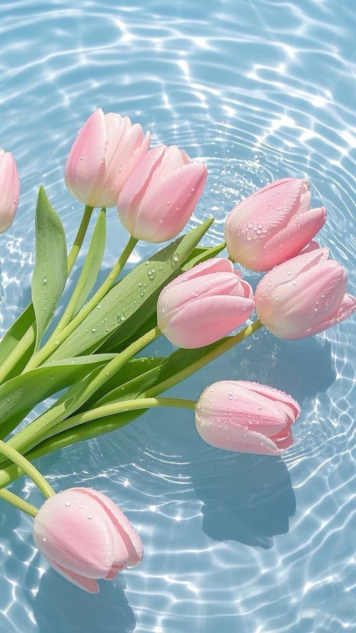 TOP 199+ Hình Nền Hoa Tulip Đẹp Lung Linh, Trang Nhã & Thanh Lịch Nhất Hiện Nay 120 TOP 199+ Hình Nền Hoa Tulip Đẹp Lung Linh, Trang Nhã & Thanh Lịch Nhất Hiện Nay 106