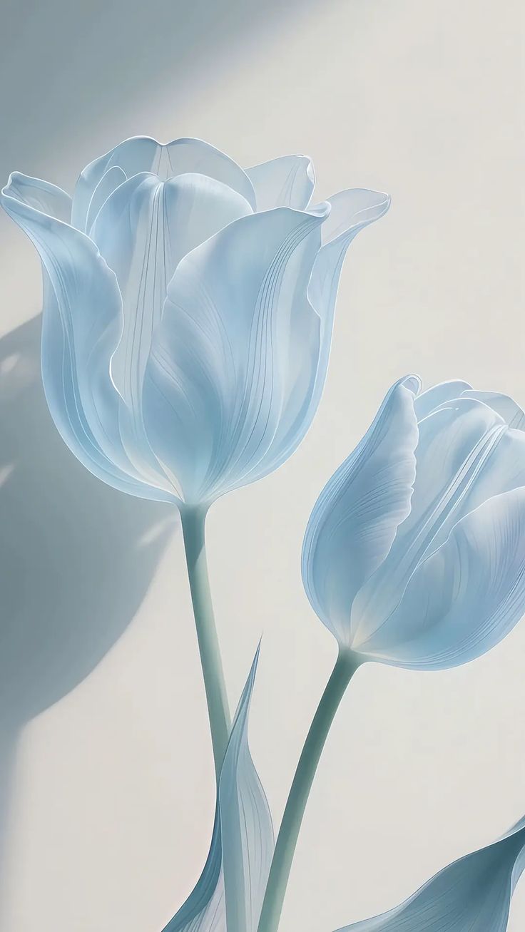 TOP 199+ Hình Nền Hoa Tulip Đẹp Lung Linh, Trang Nhã & Thanh Lịch Nhất Hiện Nay 116 TOP 199+ Hình Nền Hoa Tulip Đẹp Lung Linh, Trang Nhã & Thanh Lịch Nhất Hiện Nay 102