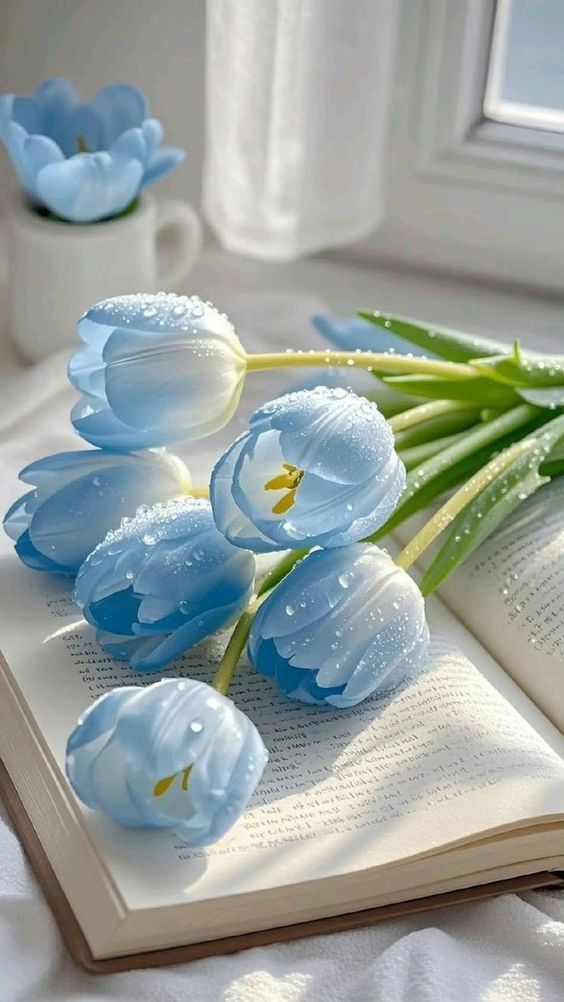 TOP 199+ Hình Nền Hoa Tulip Đẹp Lung Linh, Trang Nhã & Thanh Lịch Nhất Hiện Nay 112 TOP 199+ Hình Nền Hoa Tulip Đẹp Lung Linh, Trang Nhã & Thanh Lịch Nhất Hiện Nay 98