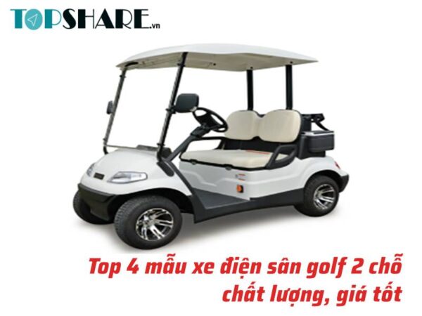 xe điện sân golf 2 chỗ