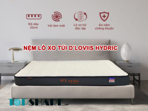 Nệm lò xo túi D’Loviis Hydric