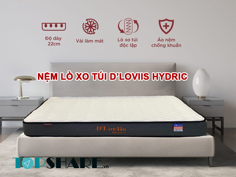 Nệm lò xo túi D’Loviis Hydric