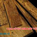 Những loại gỗ quý hiếm nhất trên thế giới