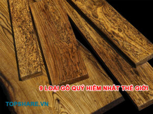 Những loại gỗ quý hiếm nhất trên thế giới