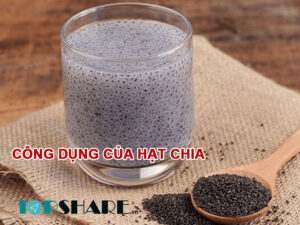 Công dụng của hạt chia