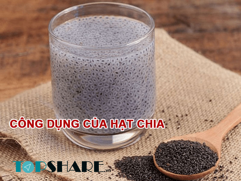 Công dụng của hạt chia
