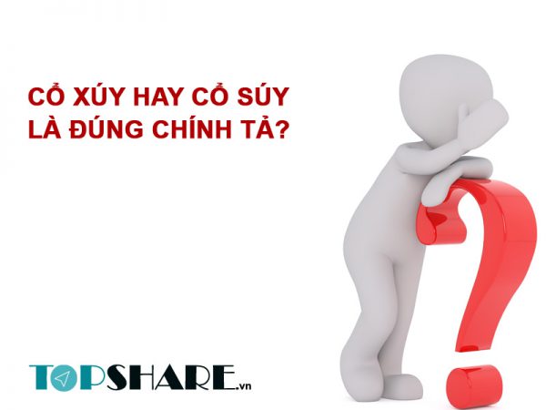 Cổ xúy hay cổ súy là đúng chính tả?