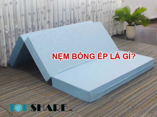 Nệm bông ép là gì?