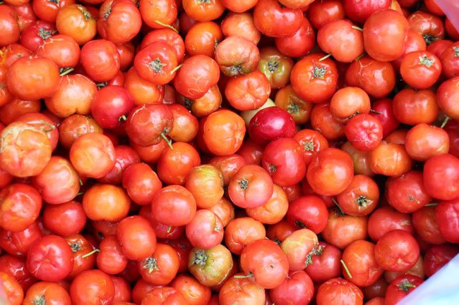 Công dụng quả sơ ri đối với sức khỏe