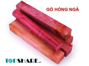 Gỗ hồng ngà