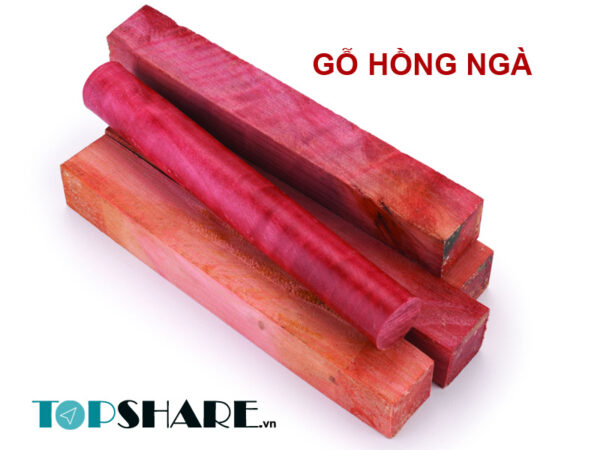 Gỗ Hồng Ngà Là Gì? Ưu Nhược Điểm Và Ứng Dụng Của Gỗ Hồng Ngà 13 Gỗ hồng ngà
