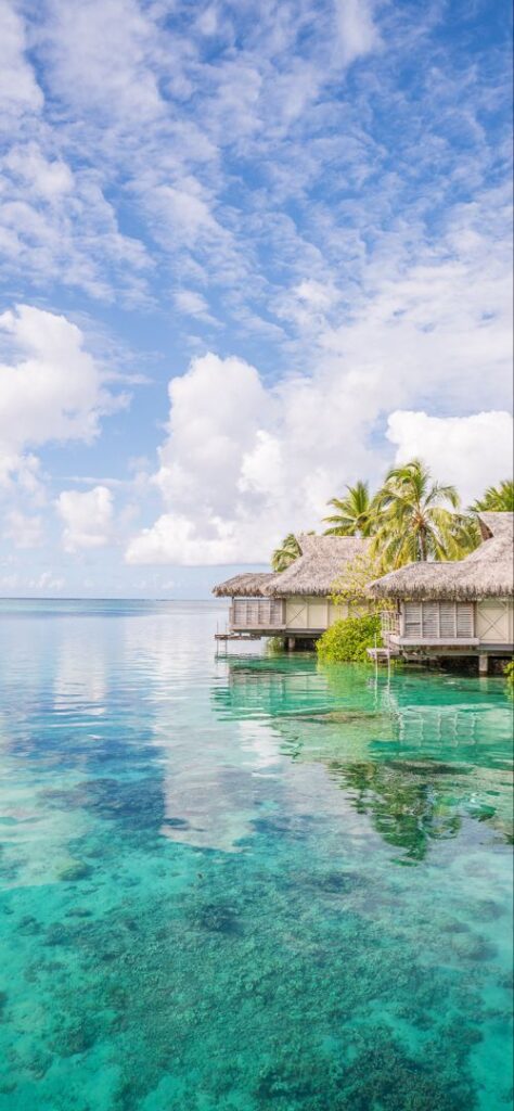 99+ Hình nền phong cảnh đẹp cho điện thoại [timect] 100