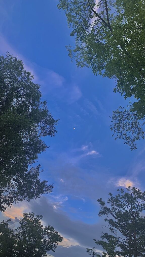 99+ Hình nền phong cảnh đẹp cho điện thoại [timect] 97