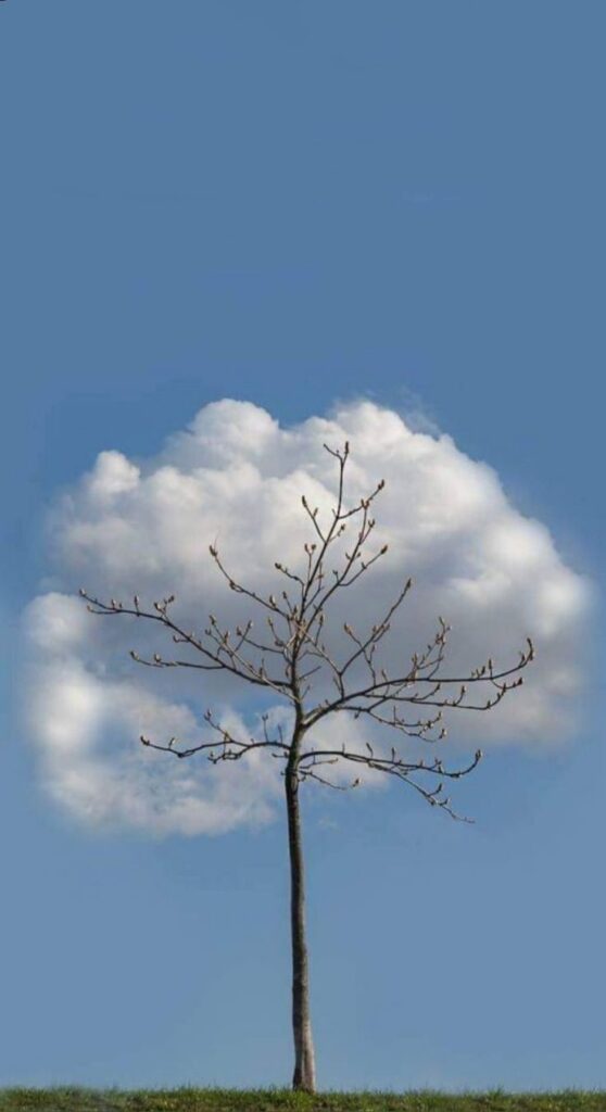 99+ Hình nền phong cảnh đẹp cho điện thoại [timect] 94