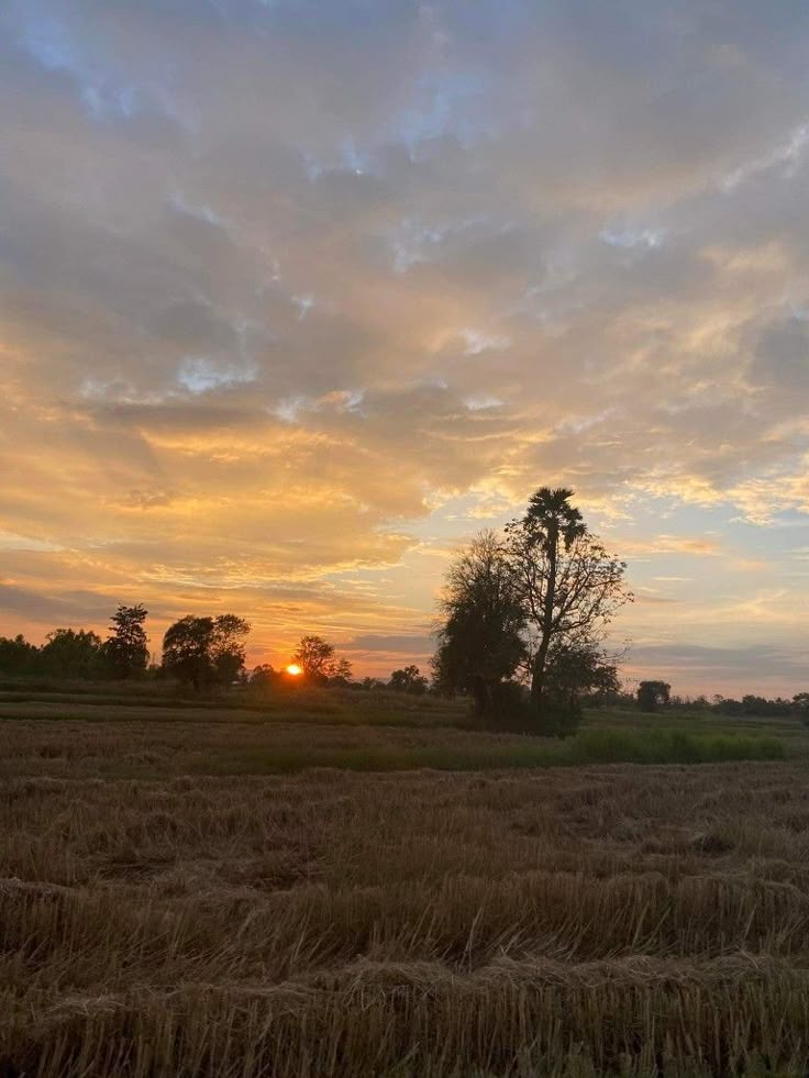 99+ Hình nền phong cảnh đẹp cho điện thoại [timect] 89