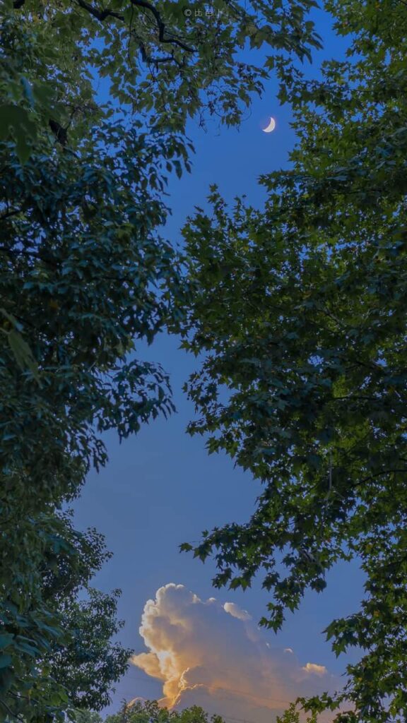 99+ Hình nền phong cảnh đẹp cho điện thoại [timect] 90