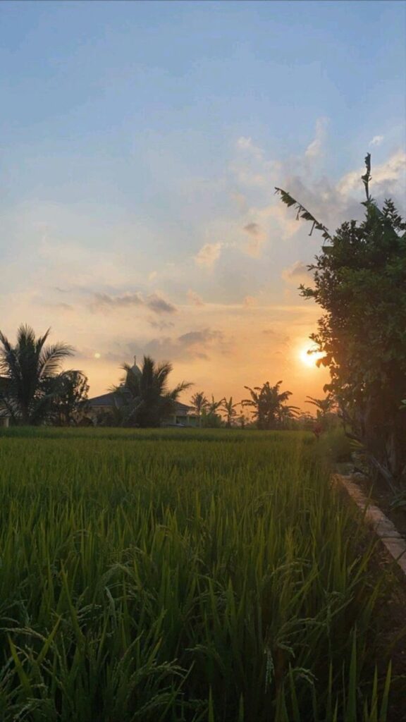 99+ Hình nền phong cảnh đẹp cho điện thoại [timect] 84