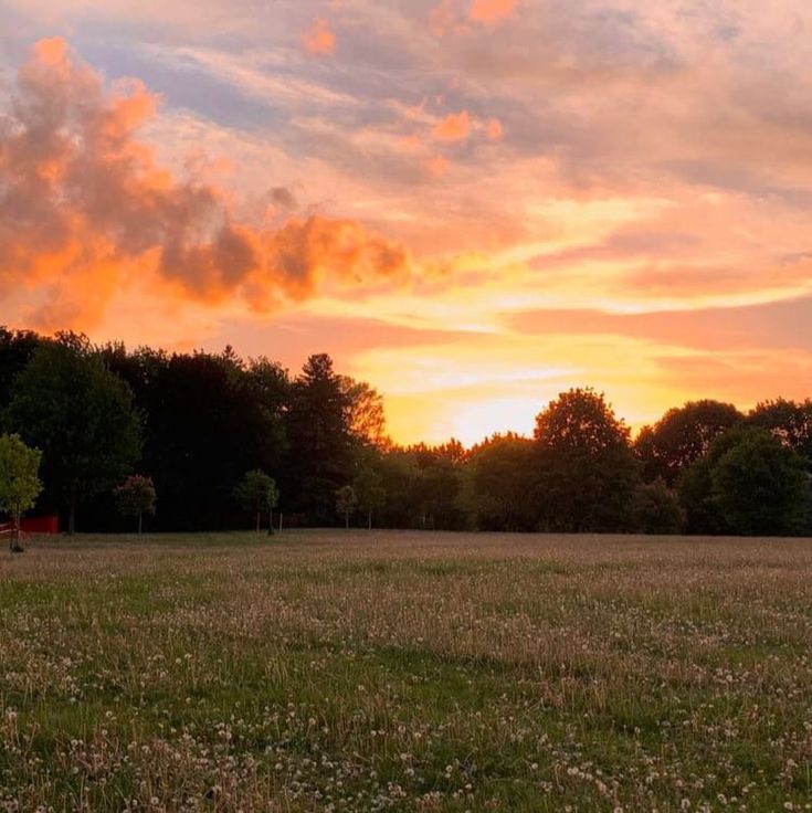 99+ Hình nền phong cảnh đẹp cho điện thoại [timect] 82