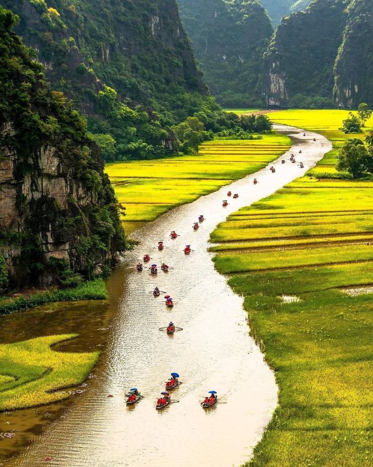 99+ Hình nền phong cảnh đẹp cho điện thoại [timect] 71