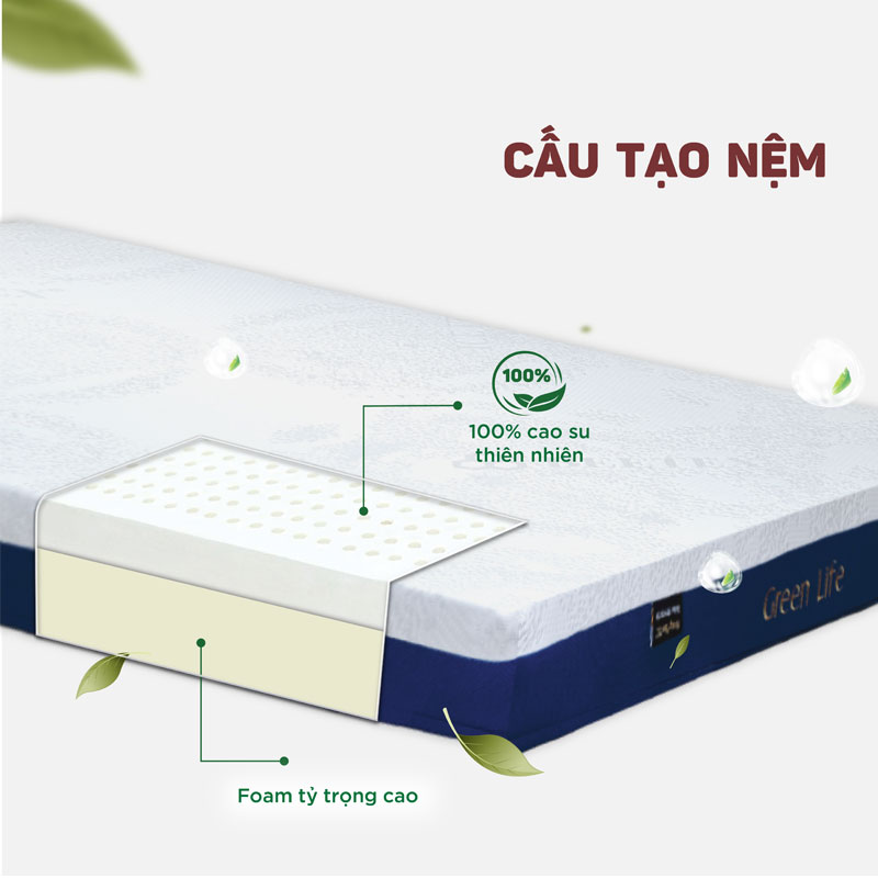 Nệm cao su Beetex Green Life – An toàn tuyệt đối cho sức khỏe 6 Nệm cao su đa tầng Beetex Green Life
