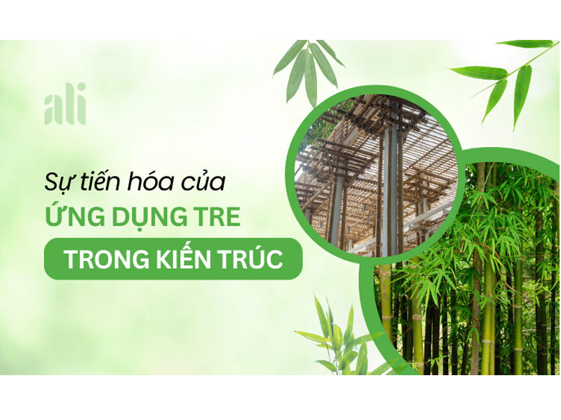 Sự tiến hóa của ứng dụng tre trong kiến trúc 9 Sự tiến hóa của ứng dụng tre trong kiến trúc