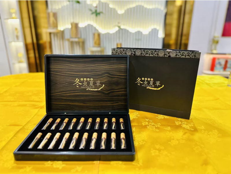 Đông trùng Tây Tạng Kim Y – Bí quyết chăm sóc sức khỏe và quà tặng tinh tế 8 Đông trùng Tây Tạng Kim Y – Bí quyết chăm sóc sức khỏe và quà tặng tinh tế 8