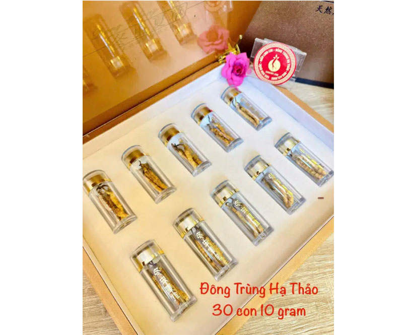 Đông trùng Tây Tạng Kim Y – Bí quyết chăm sóc sức khỏe và quà tặng tinh tế 7 Đông trùng Tây Tạng Kim Y – Bí quyết chăm sóc sức khỏe và quà tặng tinh tế 7