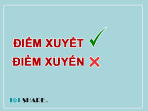 Điểm Xuyết Hay Điểm Xuyến?
