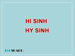 Hi Sinh Hay Hy Sinh