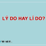 Lý Do Hay Lí Do?