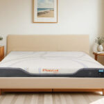 Nệm ứng dụng công nghệ BackZen