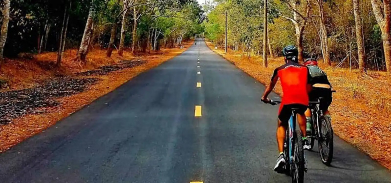 Vẻ đẹp hoang sơ của Rừng Quốc gia Bình Châu | Nguồn: Traveloka